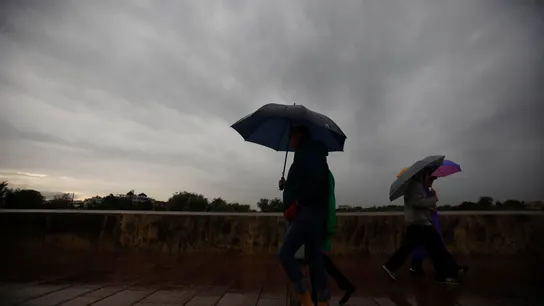 Unas personas tratan de protegerse de la lluvia y de las rachas de viento en Córdoba por la borrasca Claudia. Unas personas tratan de protegerse de la lluvia y de las rachas de viento en Córdoba por la borrasca Claudia.