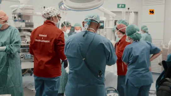 Este domingo, en Salvados, Gonzo se infiltra en el equipo de donaciones y trasplantes del Hospital Vall d'Hebron Este domingo, en Salvados, Gonzo se infiltra en el equipo de donaciones y trasplantes del Hospital Vall d'Hebron