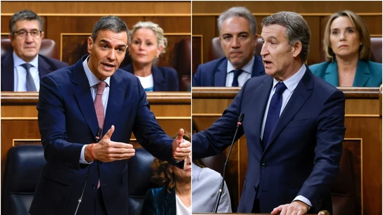Pedro Sánchez y Alberto Núñez Feijóo, en la sesión de control al Gobierno en el Congreso de los Diputados Pedro Sánchez y Alberto Núñez Feijóo, en la sesión de control al Gobierno en el Congreso de los Diputados