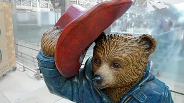 Oso Paddington Oso Paddington