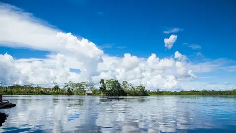 Parque Nacional Pacaya Samiria Parque Nacional Pacaya Samiria