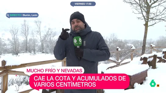 bastida frio bastida frio