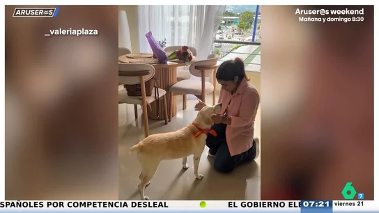 El emocionante vídeo de una joven que se reencuentra con su perra tras siete años perdida El emocionante vídeo de una joven que se reencuentra con su perra tras siete años perdida