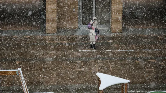 La ola de frío La ola de frío