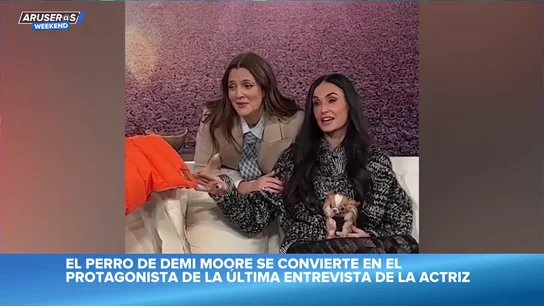 El vídeo viral del encuentro de los perros de Demi Moore y Drew Barrymore: así son Pilaf y Douglas El vídeo viral del encuentro de los perros de Demi Moore y Drew Barrymore: así son Pilaf y Douglas