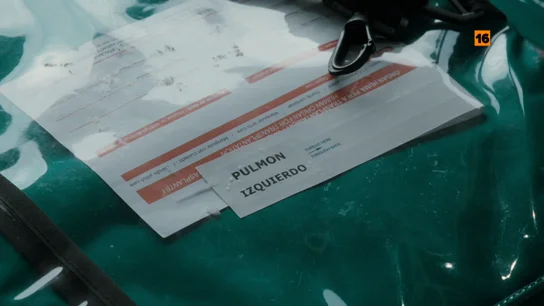 Hoy, en Salvados, Gonzo muestra cómo funciona el sistema de donaciones y trasplantes en el que España es líder mundial Hoy, en Salvados, Gonzo muestra cómo funciona el sistema de donaciones y trasplantes en el que España es líder mundial