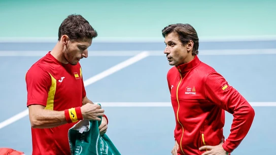 Pablo Carreño y David Ferrer Pablo Carreño y David Ferrer