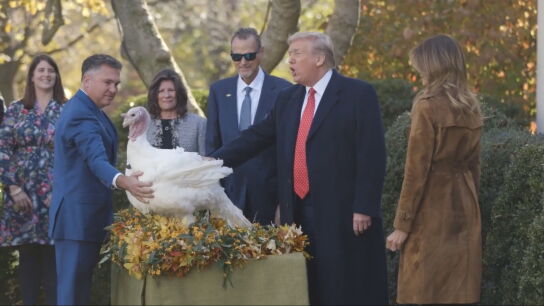 El presidente de los Estados Unidos, Donald Trump, durante el indulto a un pavo antes de la festividad de Acci&oacute;n de Gracias