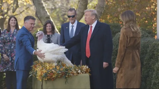 El presidente de los Estados Unidos, Donald Trump, durante el indulto a un pavo antes de la festividad de Acción de Gracias El presidente de los Estados Unidos, Donald Trump, durante el indulto a un pavo antes de la festividad de Acción de Gracias