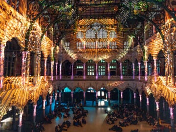 Enlightenment, el impresionante espect&aacute;culo inmersivo sobre las cuatro estaciones y el ciclo de la vida, ha abierto sus puertas en Valencia