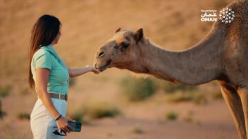 Omán, donde el tiempo se detiene: fortalezas, zocos y tradiciones en el corazón de Arabia