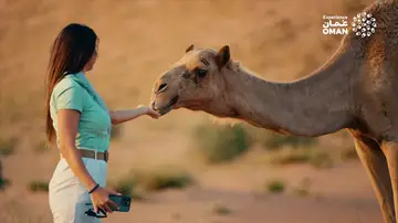 Omán, donde el tiempo se detiene: fortalezas, zocos y tradiciones en el corazón de Arabia Omán, donde el tiempo se detiene: fortalezas, zocos y tradiciones en el corazón de Arabia