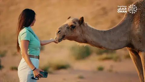 Omán, donde el tiempo se detiene: fortalezas, zocos y tradiciones en el corazón de Arabia Omán, donde el tiempo se detiene: fortalezas, zocos y tradiciones en el corazón de Arabia