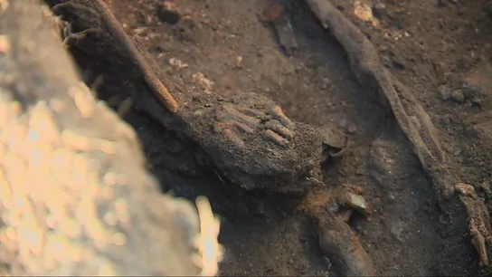 Ricardo, Florentino, Manuel y Vicente, los cuatro guerrilleros antifranquistas fusilados en 1948 que buscan en una fosa de Teo (A Coruña) Ricardo, Florentino, Manuel y Vicente, los cuatro guerrilleros antifranquistas fusilados en 1948 que buscan en una fosa de Teo (A Coruña)