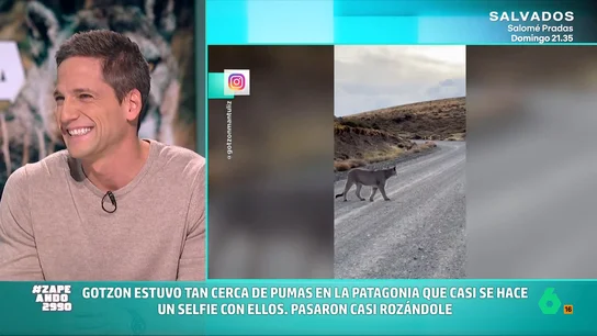 VÍDEO | Gotzon Mantuliz desvela cómo fue su cara a cara con un puma: "Sentí que se me paraba el corazón" El aventurero ha visitado los lugares más recónditos del mundo para poder fotografiar animales en estado salvaje. Mantuliz, por ejemplo, viajó hasta la Patagonia para conocer a este felino nativo de América.