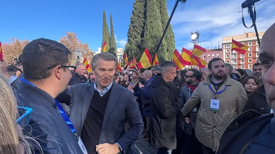 El líder del PP, Alberto Núñez Feijóo, en la manifestación de Madrid. El líder del PP, Alberto Núñez Feijóo, en la manifestación de Madrid.