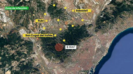 Zona afectada por la peste porcina africana. Zona afectada por la peste porcina africana.