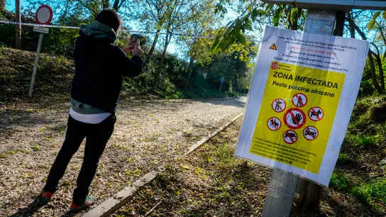 Aspecto de uno de los accesos al Parque Natural de Collserola, alertando de la presencia de la peste porcina hallada en jabalíes autóctonos de la zona, este lunes. Aspecto de uno de los accesos al Parque Natural de Collserola, alertando de la presencia de la peste porcina hallada en jabalíes autóctonos de la zona, este lunes.