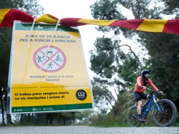 La UME se moviliza para apoyar el control del brote de peste porcina africana en Cataluña La UME se moviliza para apoyar el control del brote de peste porcina africana en Cataluña