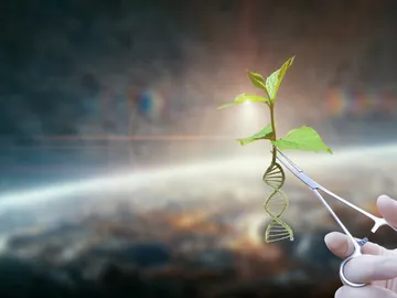 Biología sintética Biología sintética