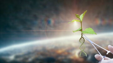 Biolog&iacute;a sint&eacute;tica