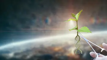 Biología sintética Biología sintética