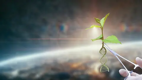 Biología sintética Biología sintética