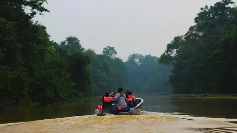 Río Kinabatangan Río Kinabatangan