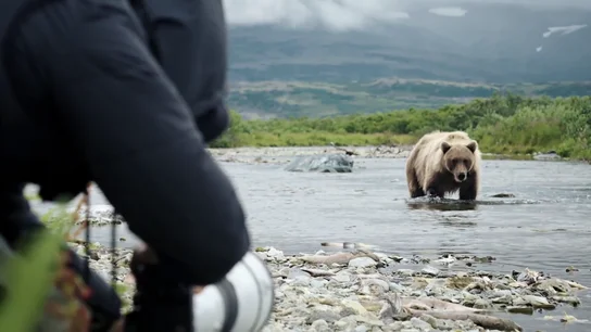 El tenso momento de un oso grizzly al establecer contacto visual con Patricia Conde: "Ha acabado mi día" El tenso momento de un oso grizzly al establecer contacto visual con Patricia Conde: "Ha acabado mi día"