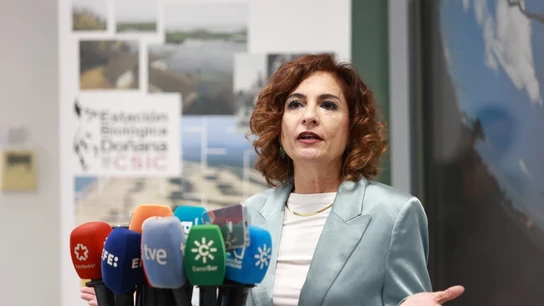 La vicepresidenta Primera y ministra de Hacienda, María Jesús Montero, este miércoles en Sevilla. La vicepresidenta Primera y ministra de Hacienda, María Jesús Montero, este miércoles en Sevilla.