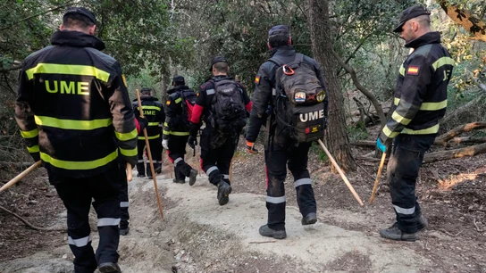 Efectivos de la UME trabajan en la zona cero de la peste porcina en Cataluña Efectivos de la UME trabajan en la zona cero de la peste porcina en Cataluña