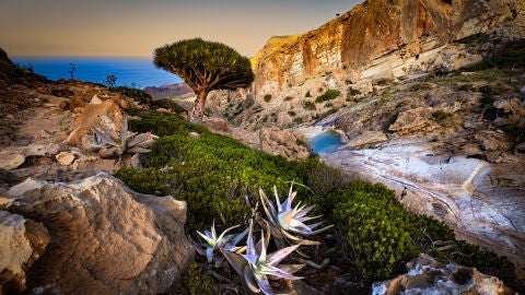 Socotra, en Yemen