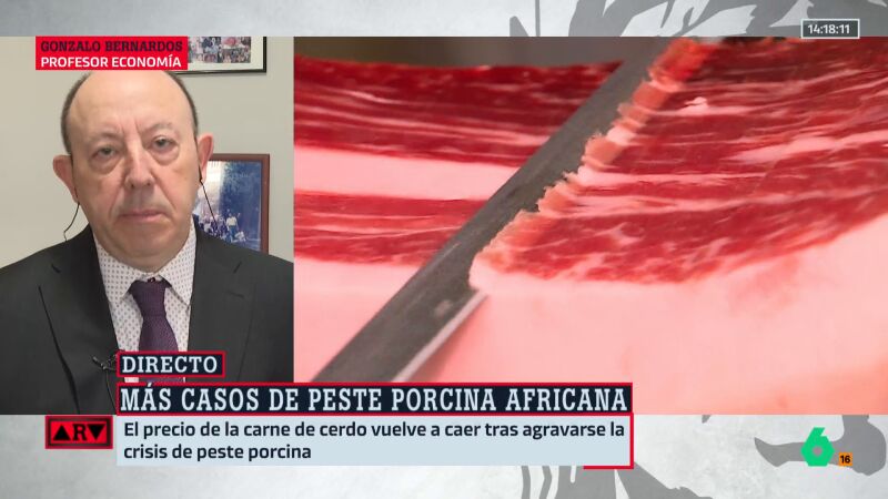 Gonzalo Bernardos, sobre la crisis de la peste porcina: "No afectará significativamente al precio del jamón"