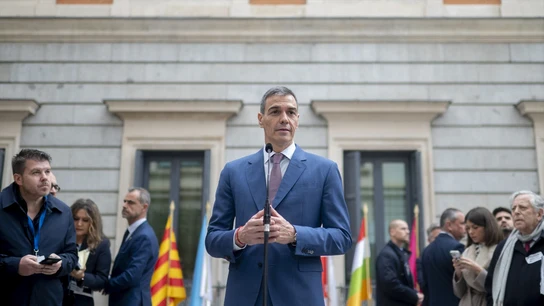 El presidente del Gobierno, Pedro Sánchez, durante el Día de la Constitución El presidente del Gobierno, Pedro Sánchez, durante el Día de la Constitución
