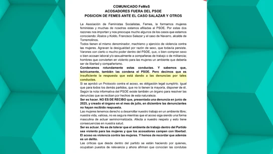 Las mujeres socialistas de FeMeS califican de "insuficiente" la respuesta del PSOE a los casos de Salazar o Navarro Las mujeres socialistas de FeMeS califican de "insuficiente" la respuesta del PSOE a los casos de Salazar o Navarro