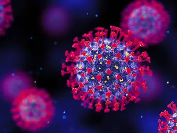 Coronavirus Coronavirus