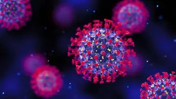 Coronavirus Coronavirus