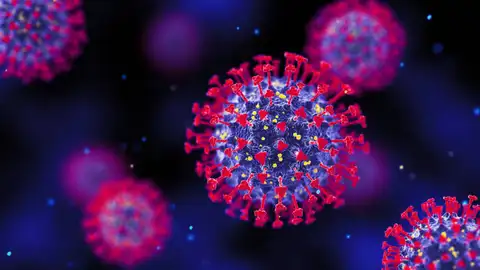 Coronavirus Coronavirus