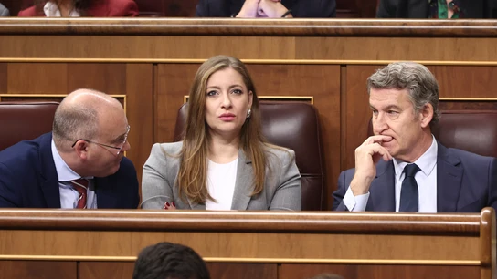 El secretario general de PP, Miguel Tellado; la portavoz del PP en el Congreso, Ester Muñoz, y el presidente del PP, Alberto Núñez Feijóo El secretario general de PP, Miguel Tellado; la portavoz del PP en el Congreso, Ester Muñoz, y el presidente del PP, Alberto Núñez Feijóo
