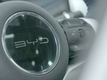  BYD