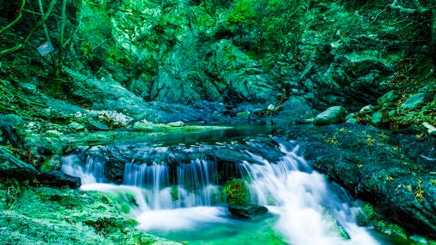 Red Natura 2000 en Samotracia