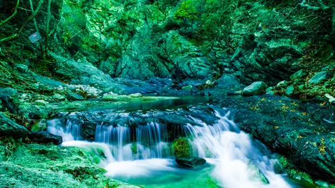 Red Natura 2000 en Samotracia Red Natura 2000 en Samotracia