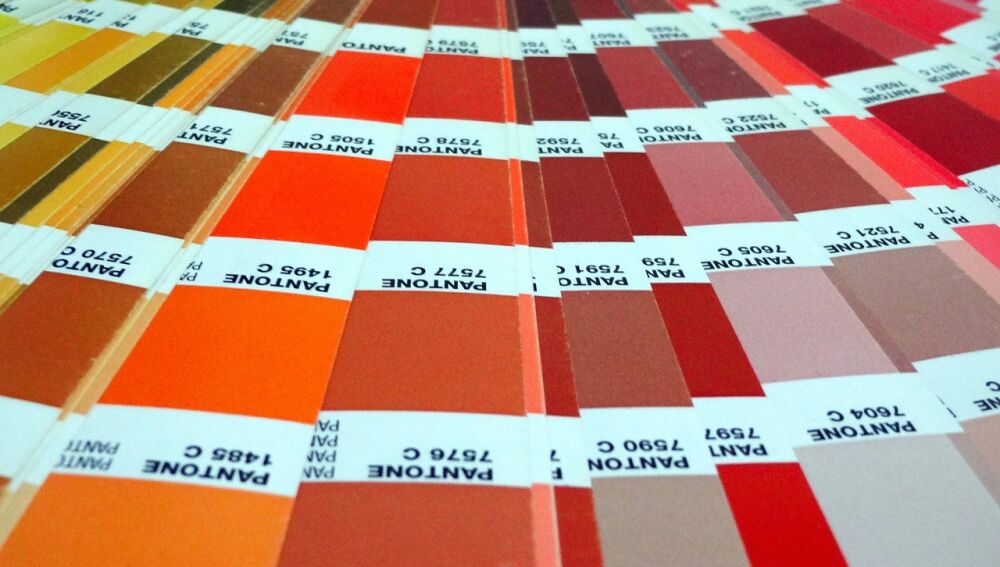 A prop&oacute;sito del color Pantone del a&ntilde;o: la bioqu&iacute;mica de un mundo en blanco y negro