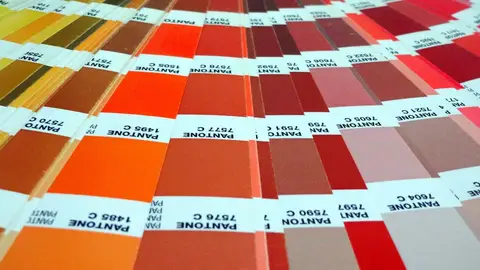 A propósito del color Pantone del año: la bioquímica de un mundo en blanco y negro A propósito del color Pantone del año: la bioquímica de un mundo en blanco y negro