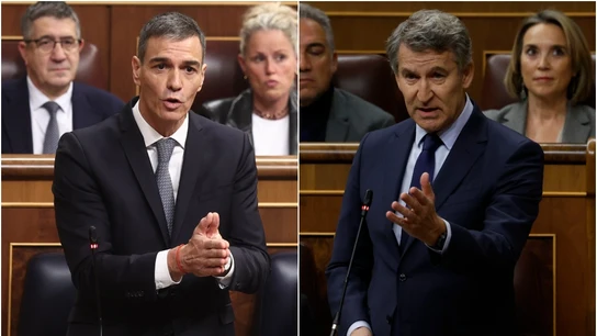 Pedro Sánchez y Alberto Núñez Feijóo, durante la sesión de control al Gobierno Pedro Sánchez y Alberto Núñez Feijóo, durante la sesión de control al Gobierno