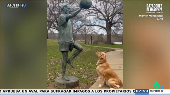 El entrañable vídeo viral del Golden retriever que espera que una estatua le lance la pelota El entrañable vídeo viral del Golden retriever que espera que una estatua le lance la pelota
