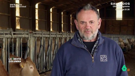 La advertencia de Fermín Gorraiz sobre la exportación de carne: "A corto plazo ganamos dinero, pero a largo no es bueno" La advertencia de Fermín Gorraiz sobre la exportación de carne: "A corto plazo ganamos dinero, pero a largo no es bueno"