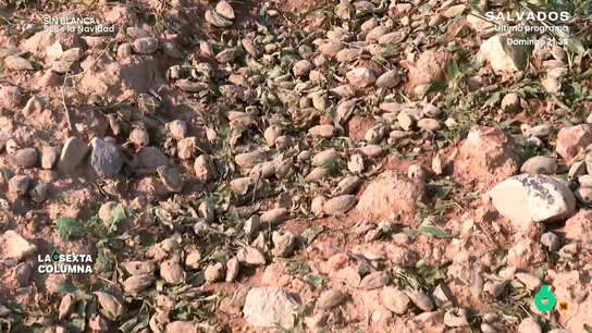 cambio climático afecta al precio cambio climático afecta al precio