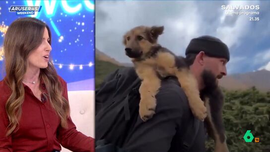 Un excursionista se encuentra a un cachorro de pastor alem&aacute;n en la monta&ntilde;a y ya nunca m&aacute;s se separa de &eacute;l