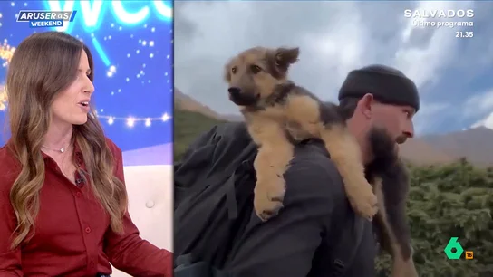 Un excursionista se encuentra a un cachorro de pastor alemán en la montaña y ya nunca más se separa de él Un excursionista se encuentra a un cachorro de pastor alemán en la montaña y ya nunca más se separa de él